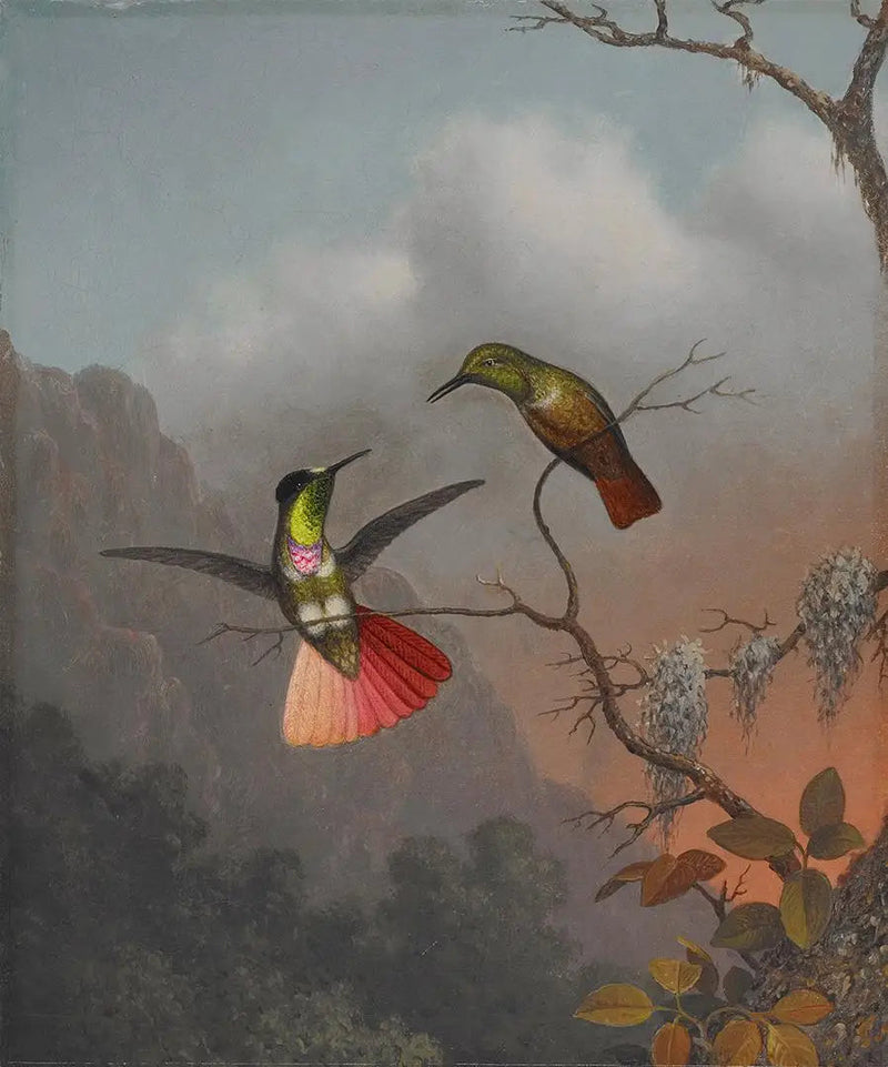 フード付きバイザーキャリア - マーティン・ジョンソン・ヒード

Source:
Porteur de visière à capuche - Martin Johnson Heade