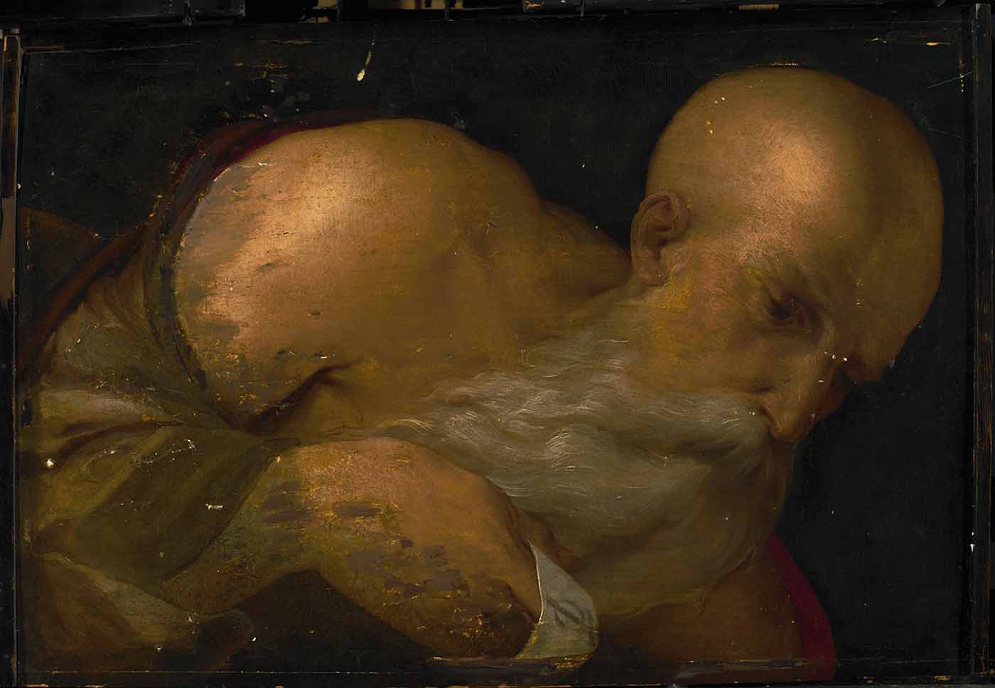 Portrait d'homme - Benvenuto Tisi image 1 tableau peint à l’huile sur toile