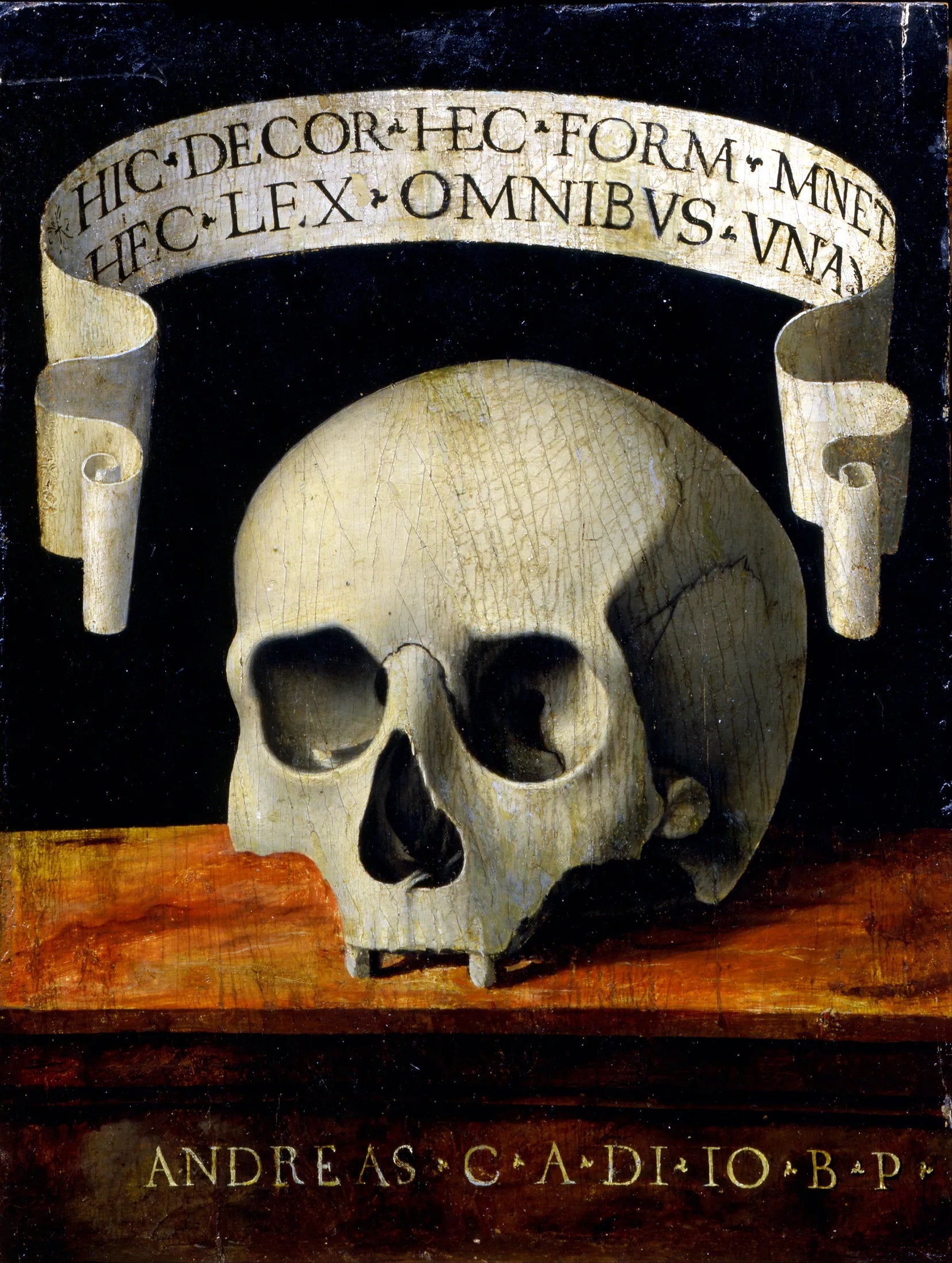Portrait d'un homme - Memento Mori - Andrea Previtali image 1 reproduction réalisée par Alpha Reproduction