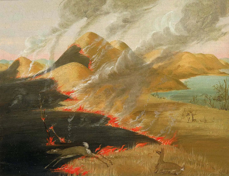 火事のプリエール・ブリュフ - ジョージ・キャトリン

Source:
Prairie Bluffs en feu - George Catlin