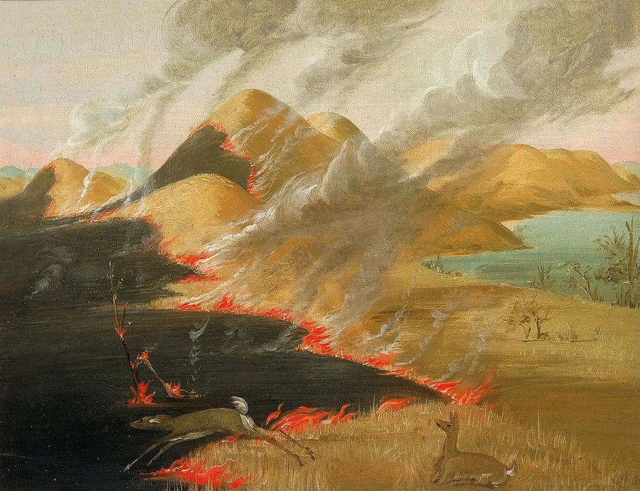 火事のプリエール・ブリュフ - ジョージ・キャトリン

Source:
Prairie Bluffs en feu - George Catlin