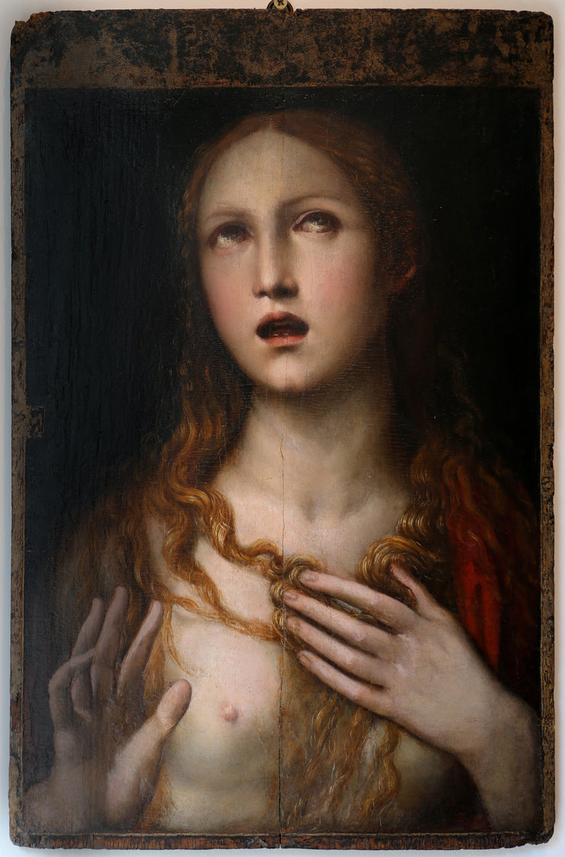 Q117777120 - イル・ソドマ（ジョバンニ・アントニオ・バッジ）