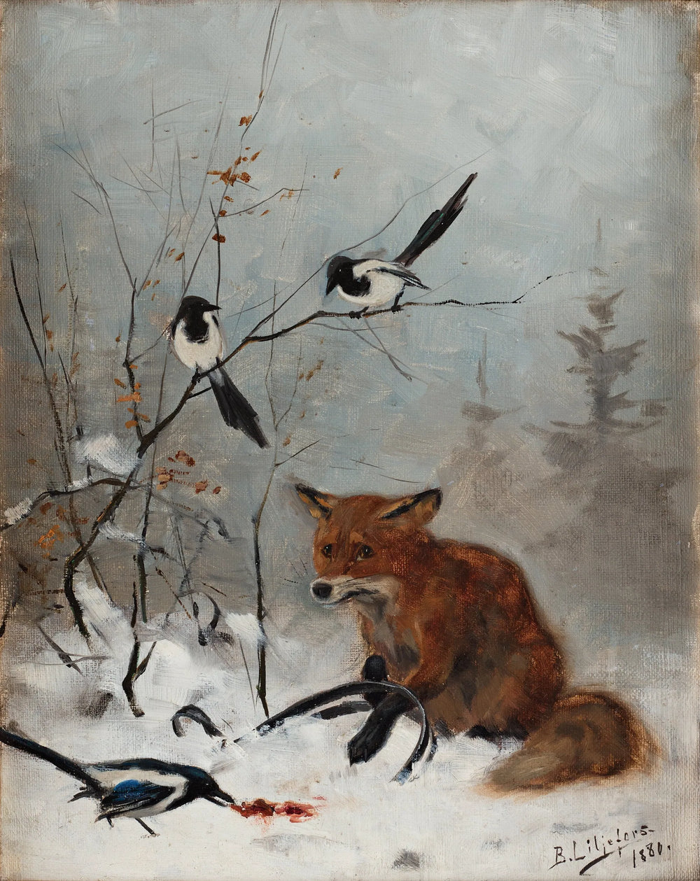 Renard pris au piège à mâchoires - Bruno Liljefors image 1 reproduction artisanale de tableau