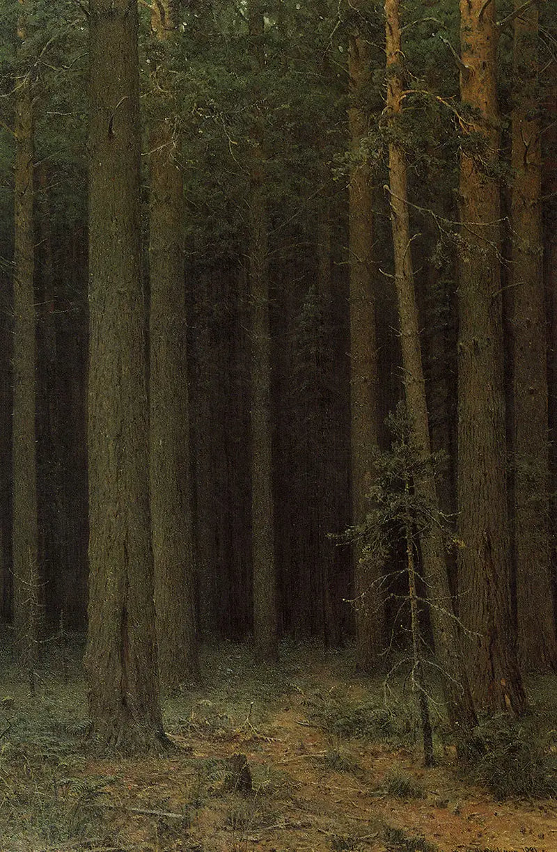 森林保護区。松林 - イワン・チチキン

Source:
Réserve forestière. Pinède - Ivan Chichkine