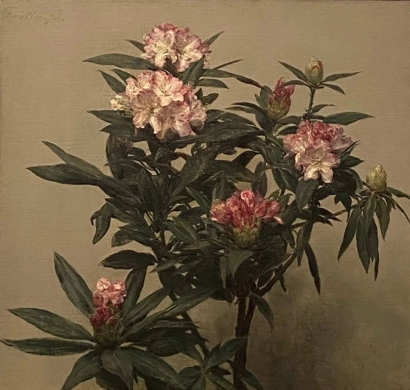 シャクナゲ - アンリ・ファンタン＝ラトゥール

Source:
Rhododendrons - Henri Fantin-Latour