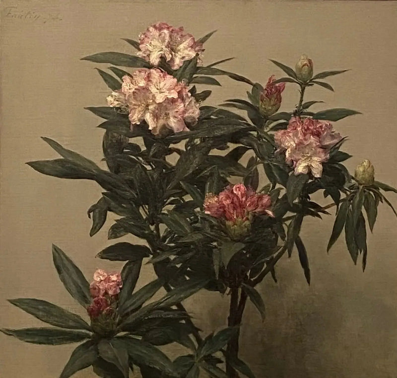 シャクナゲ - アンリ・ファンタン＝ラトゥール

Source:
Rhododendrons - Henri Fantin-Latour