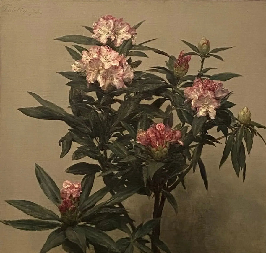 シャクナゲ - アンリ・ファンタン＝ラトゥール

Source:
Rhododendrons - Henri Fantin-Latour