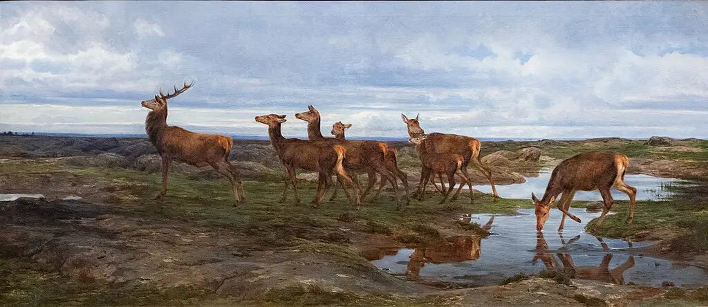 Une famille de cerfs, peinture de Rosa Bonheur