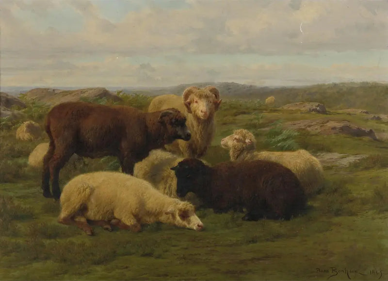 Sheep in a Meadow - Rosa Bonheur