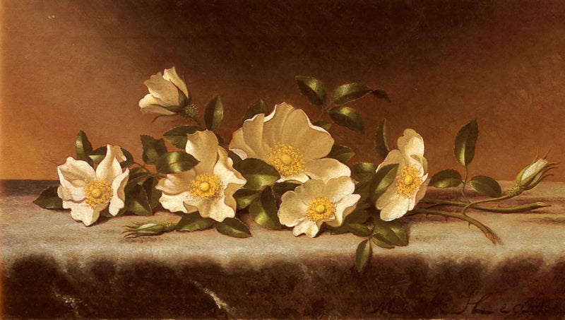 薄いグレーの布の上のローズ・チェロキー - マーティン・ジョンソン・ヒード

Source:
Roses Cherokee sur un tissu gris clair - Martin Johnson Heade