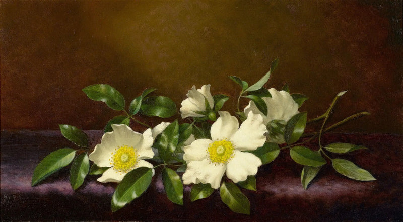 バラとチェロキーの花が紫色の布の上に描かれた絵 - マーティン・ジョンソン・ヒード

Source:
Roses Cherokee sur un tissu violet - Martin Johnson Heade
