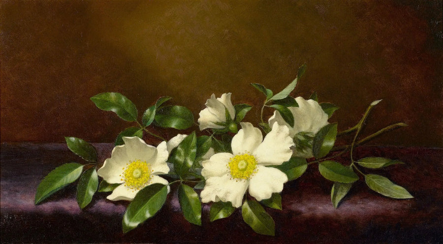 バラとチェロキーの花が紫色の布の上に描かれた絵 - マーティン・ジョンソン・ヒード

Source:
Roses Cherokee sur un tissu violet - Martin Johnson Heade