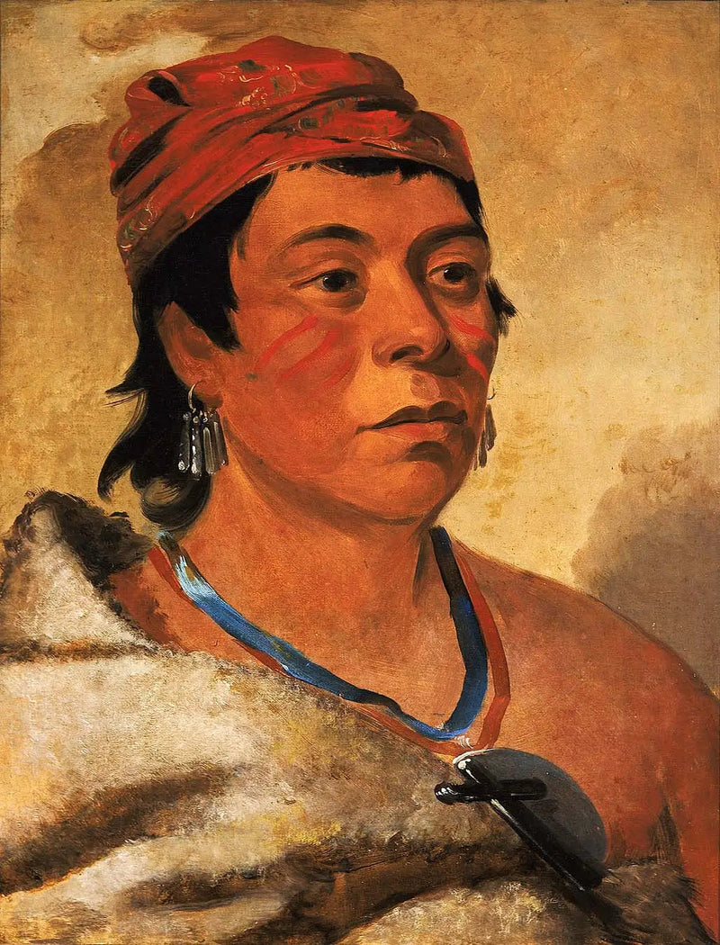 ラウンドアイランド、戦士 - ジョージ・キャトリン

Source:
Round Island, un guerrier - George Catlin