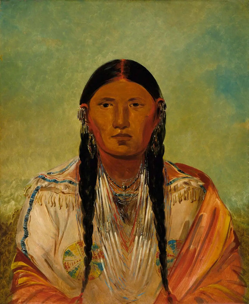ルートゥンウィーミー、翼のハト - ジョージ・キャトリン

Source:
Ru-ton-wee-me, Pigeon sur l'aile - George Catlin