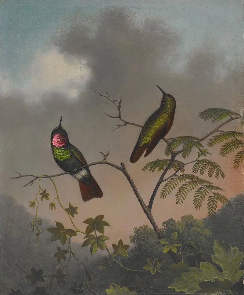 ルビス・ブラジリエン - マーティン・ジョンソン・ヒード

Source:
Rubis brésilien - Martin Johnson Heade