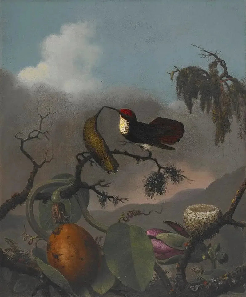 ルビー・トパーズ - マーティン・ジョンソン・ヒード

Source:
Rubis-Topaze - Martin Johnson Heade