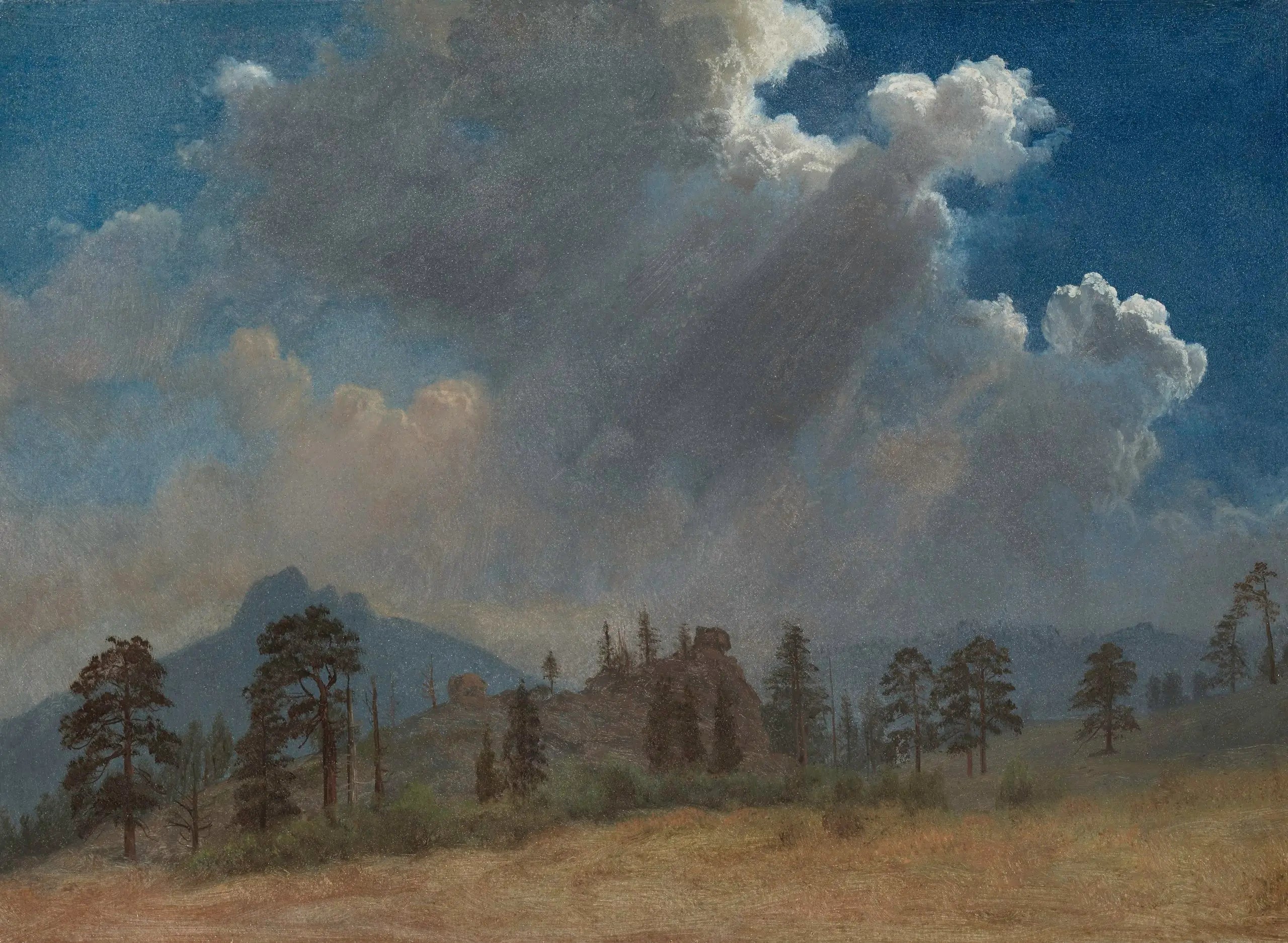 Sapins et nuages d’orage - Albert Bierstadt - Alpha Reproduction