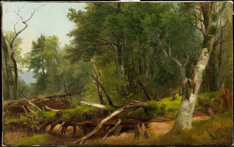 キャトスキルズの森の風景 - アッシャー・ブラウン・デュランド

Source:
Scène de forêt dans les Catskills - Asher Brown Durand