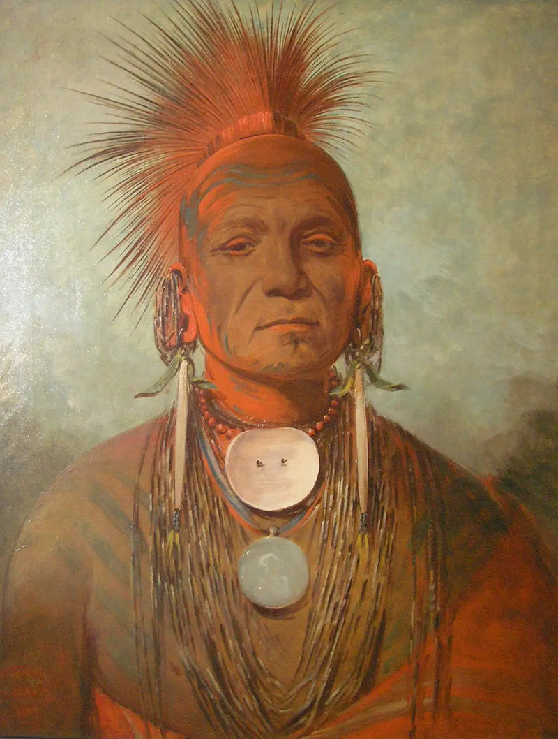 アルファレプリントによる油彩のレプリカ - クラシックアートの複製品

Source:
See-non-ty-a, un guérisseur de l'Iowa - George Catlin