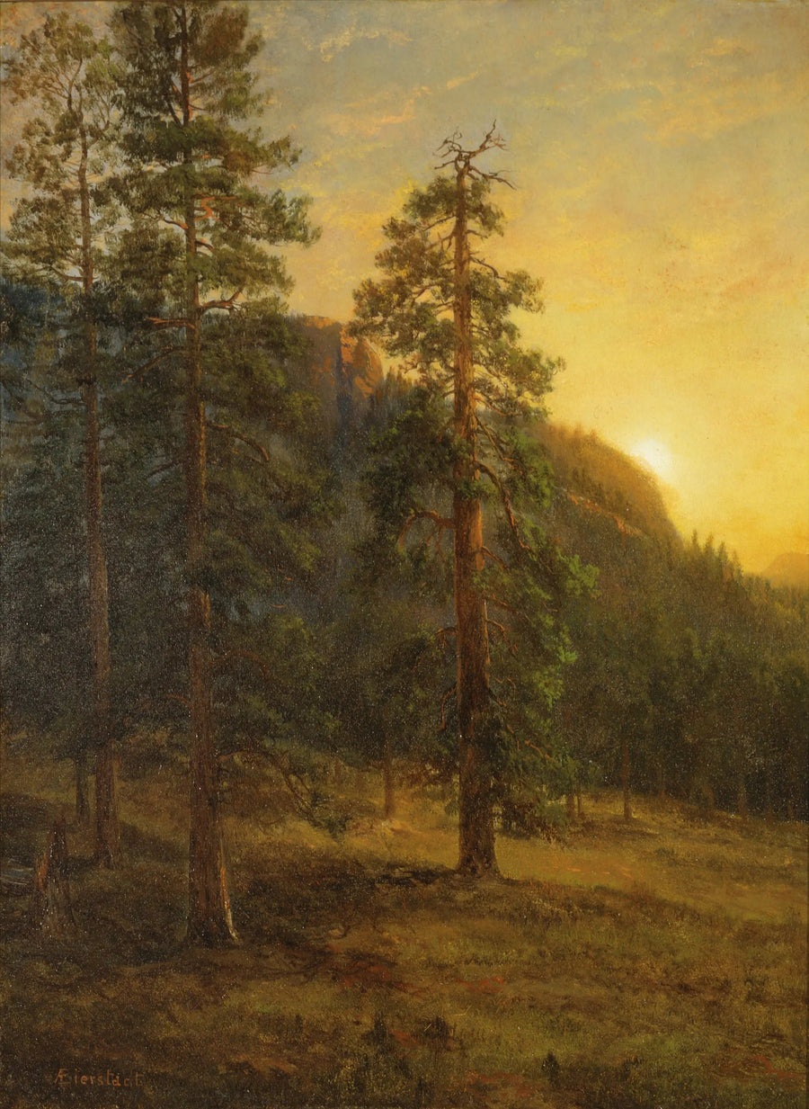 カリフォルニアのセコイア - アルバート・ビアシュタット

Source:
Séquoias de Californie - Albert Bierstadt