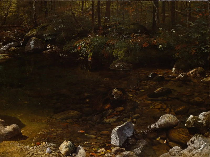 シャディプール、ホワイトマウンテン、ニューハンプシャー - アルバート・ビアシュタット

Source:
Shady Pool, White Mountains, New Hampshire - Albert Bierstadt