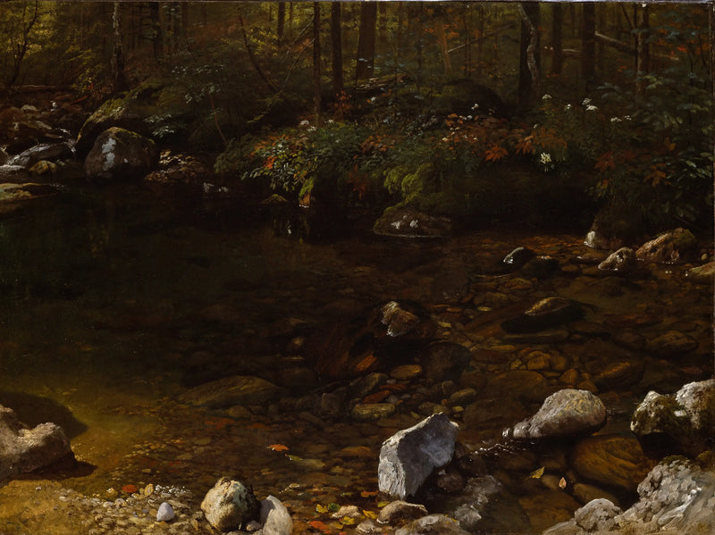 シャディプール、ホワイトマウンテン、ニューハンプシャー - アルバート・ビアシュタット

Source:
Shady Pool, White Mountains, New Hampshire - Albert Bierstadt