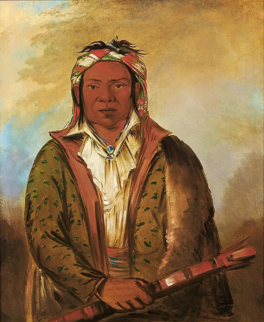 アルファレプリント - オイル絵画の複製

Source:
Shee-náh-wee - George Catlin