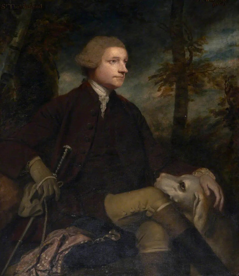 サー・トーマス・ダイク・アクランド、第3/7代アクランド・ド・コラム＝ジョン議員（1722-1785） - ジョシュア・レイノルズ