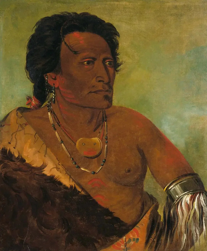スカイセローカ、部族の第二長 - ジョージ・キャトリン

Source:
Sky-se-ró-ka, deuxième chef de la tribu - George Catlin