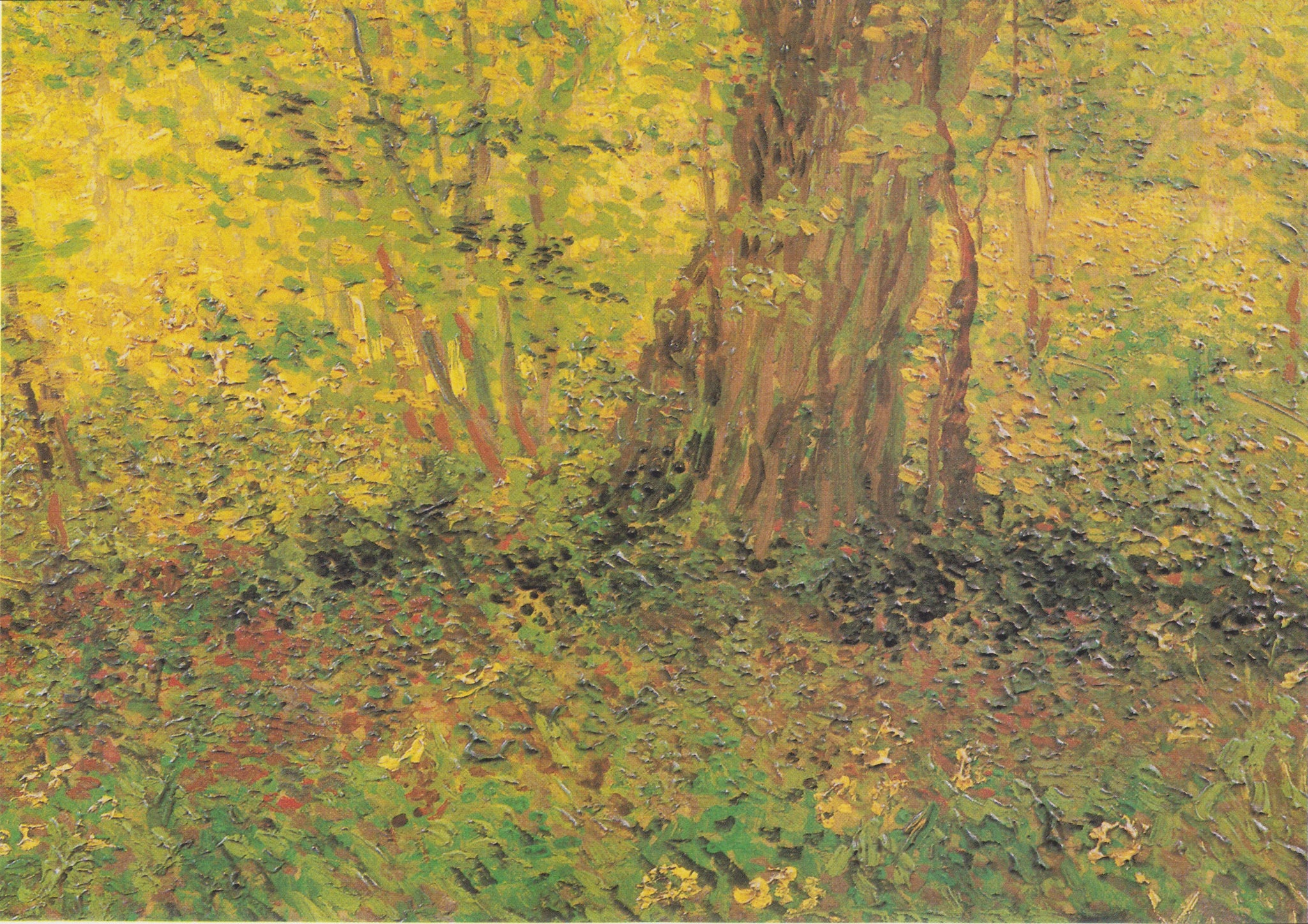 Sous-bois F306 de Vincent van Gogh