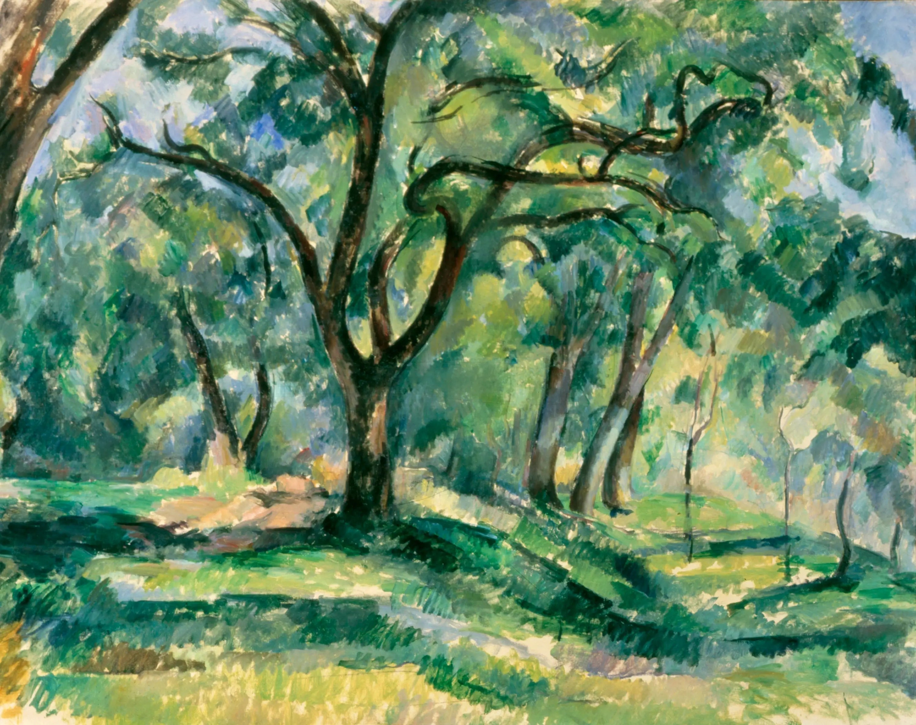 Sous-bois - Paul Cézanne image 1 tableau peint à l’huile sur toile