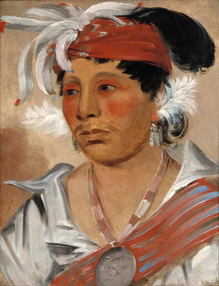 有名な戦士 - ジョージ・キャトリン

Source:
String, un guerrier renommé - George Catlin