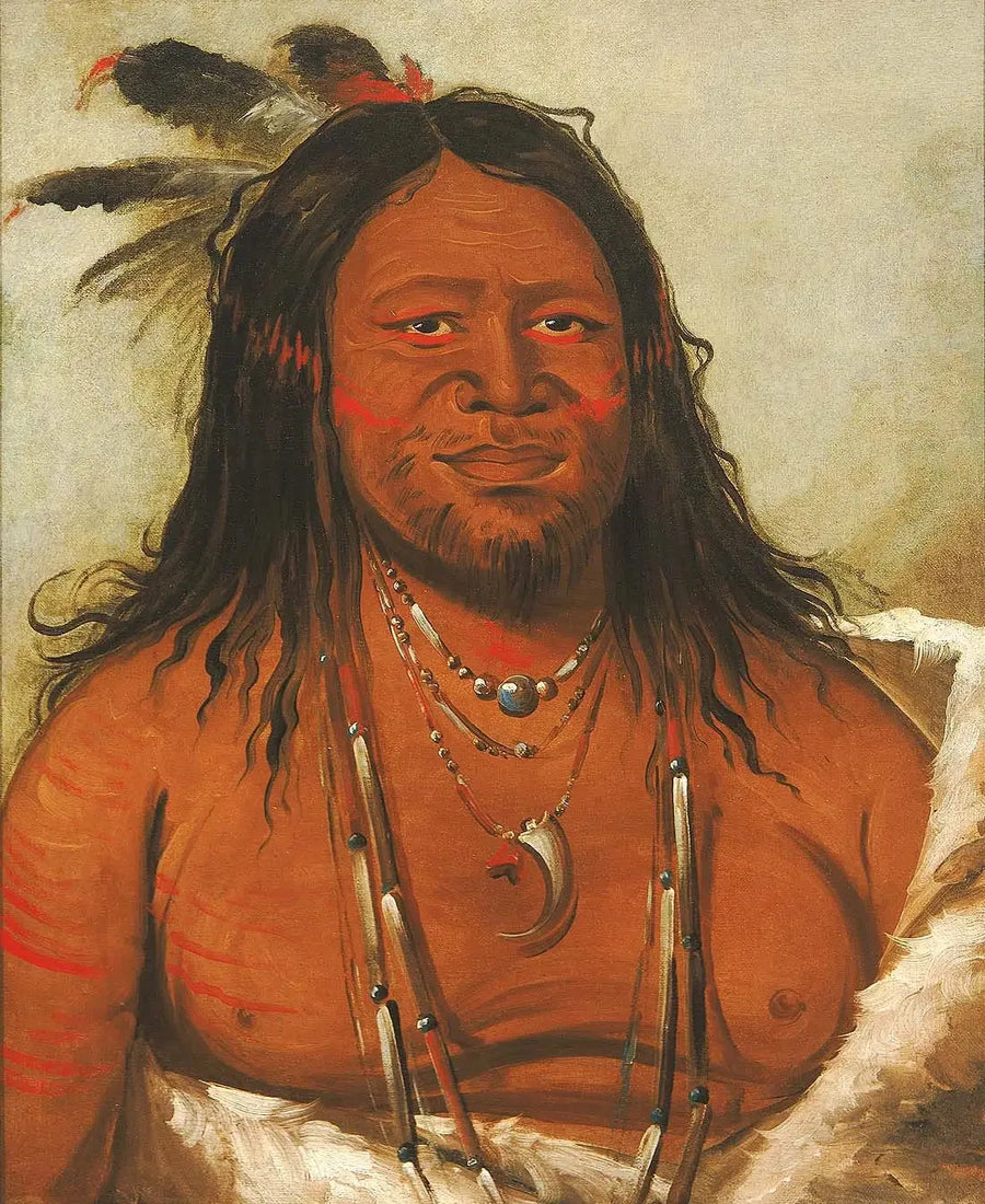 ブランド名：Alpha Reproduction - 油彩画のレプリカ

Source:
Ta-wáh-que-nah, Montagne des Rochers, Deuxième Chef de la Tribu - George Catlin