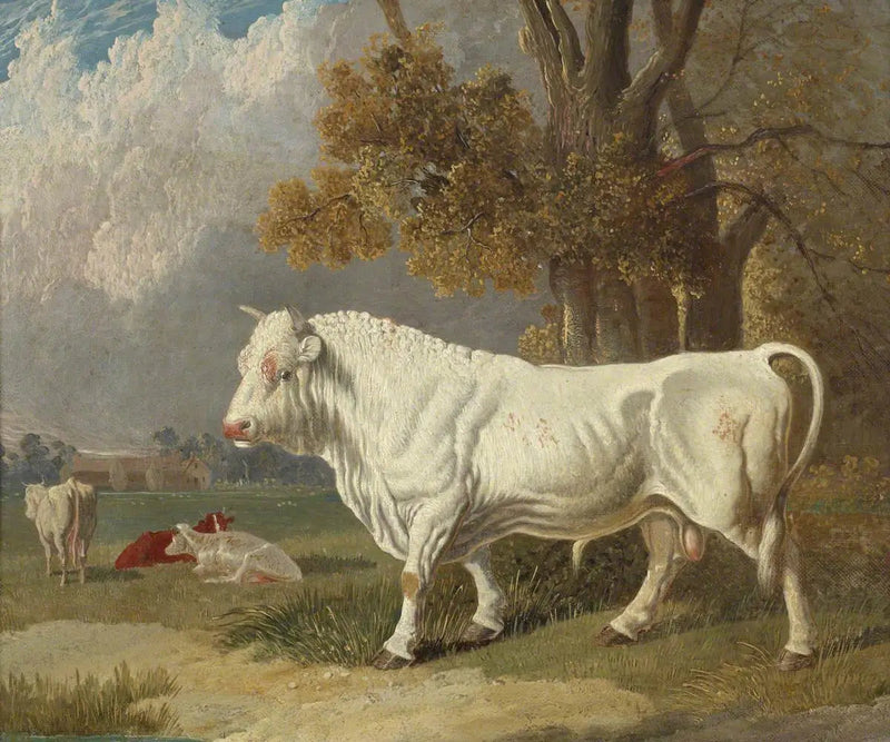白い牡牛、フルブーン、ケンブリッジシャー、1830年 - ジョン・フレデリック・ヘリング Sr.  

Source:
Taureau blanc, Fulbourn, Cambridgeshire, 1830 - John Frederick Herring, Sr.