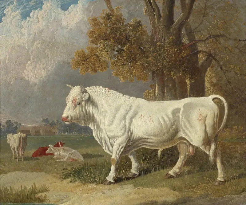白い牡牛、フルブーン、ケンブリッジシャー、1830年 - ジョン・フレデリック・ヘリング Sr.  

Source:
Taureau blanc, Fulbourn, Cambridgeshire, 1830 - John Frederick Herring, Sr.