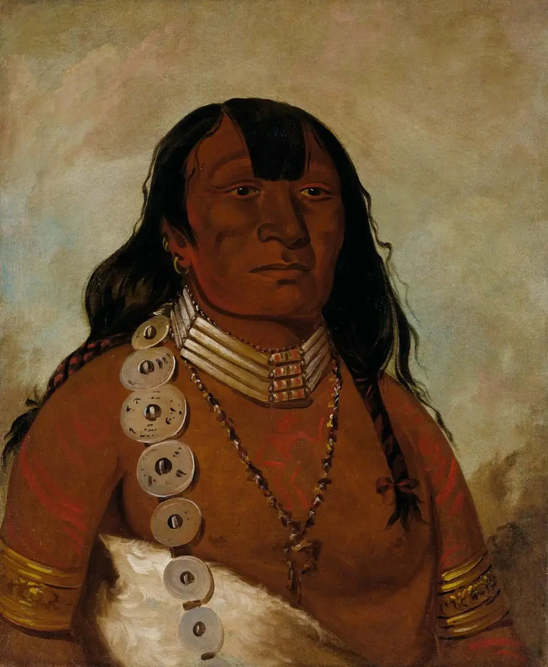 アルファレプリントによる油彩のクラシック絵画レプリカ

Source:
Téh-tóot-sah (mieux connu sous le nom de Tohausen, Little Bluff), premier chef - George Catlin