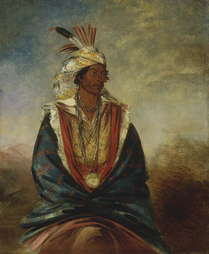 テルマズハザ、卓越した戦士 - ジョージ・キャトリン

Source:
Tel-maz-há-za, un guerrier de distinction - George Catlin