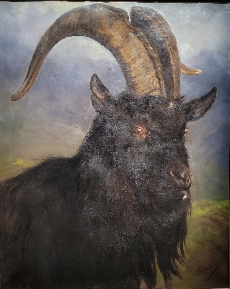 山羊の頭 - ロザ・ボヌール