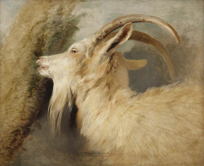 ヤギの頭部 - エドウィン・ヘンリー・ランシー

Source:
Tête de chèvre - Edwin Henry Landseer