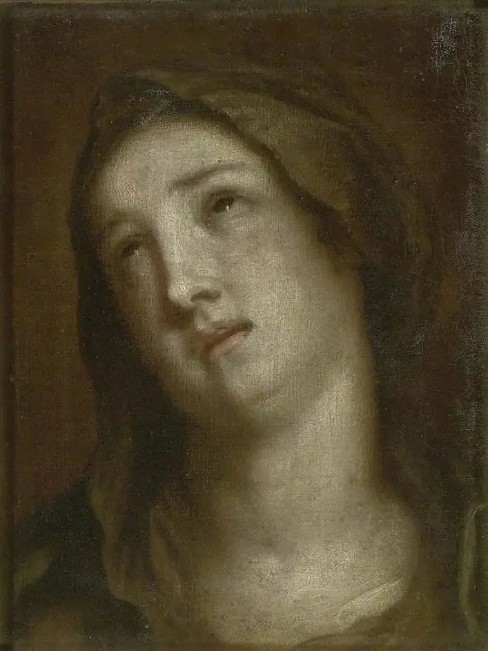 悲しむ聖母の頭部 - アントワーヌ・ヴァン・ダイク

Source:
Tête de la Vierge en deuil - Antoine van Dyck