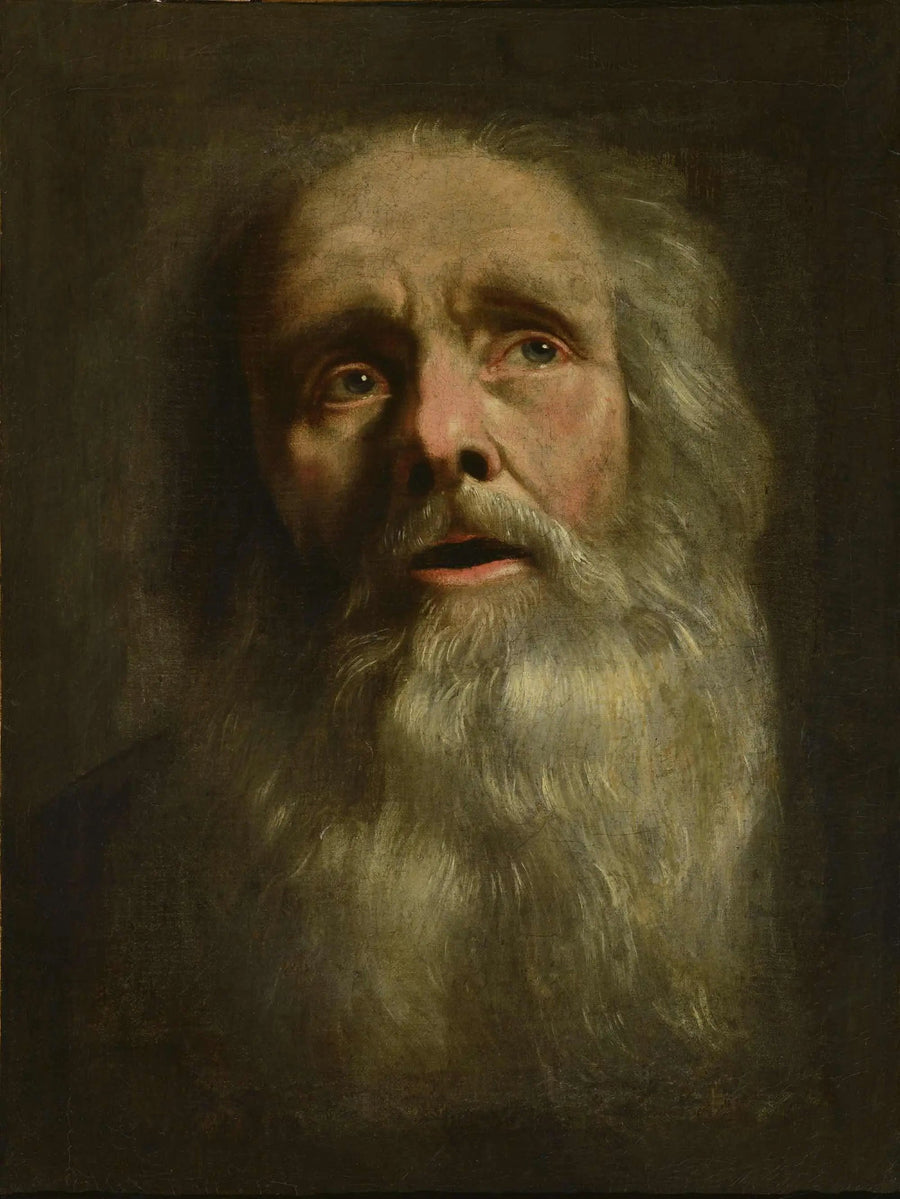老人の頭部 - フィリップ・ド・シャンパーニュ

Source:
Tête de vieillard - Philippe de Champaigne
