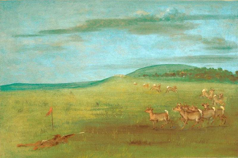 アリの引き寄せられたアンテロープを撃つ - ジョージ・キャトリン

Source:
Tir sur une antilope attirée - George Catlin