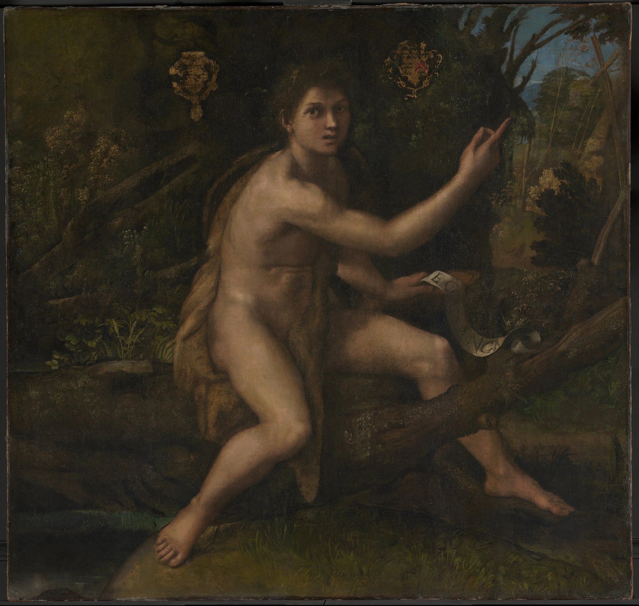 Saint Jean-Baptiste dans le désert désignant la croix de la Passion - Raphaël Sanzio - Réproduction huile sur toile
