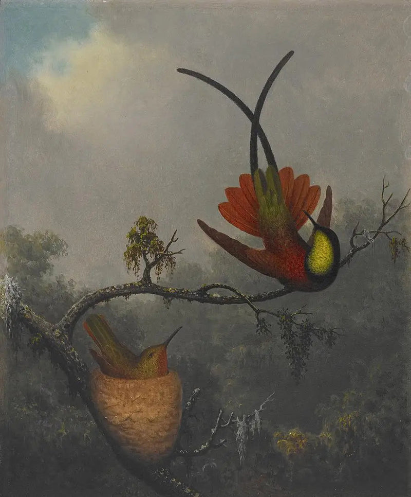 カーネリアン・クリムゾン - マーティン・ジョンソン・ヒード

Source:
Topaze cramoisie - Martin Johnson Heade