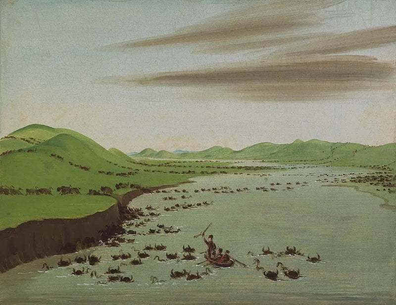 ジョージ・キャトリンによるハイ・ミズーリを横断するバイソンの群れ

Source:
Troupeaux de bisons traversant le Haut-Missouri - George Catlin