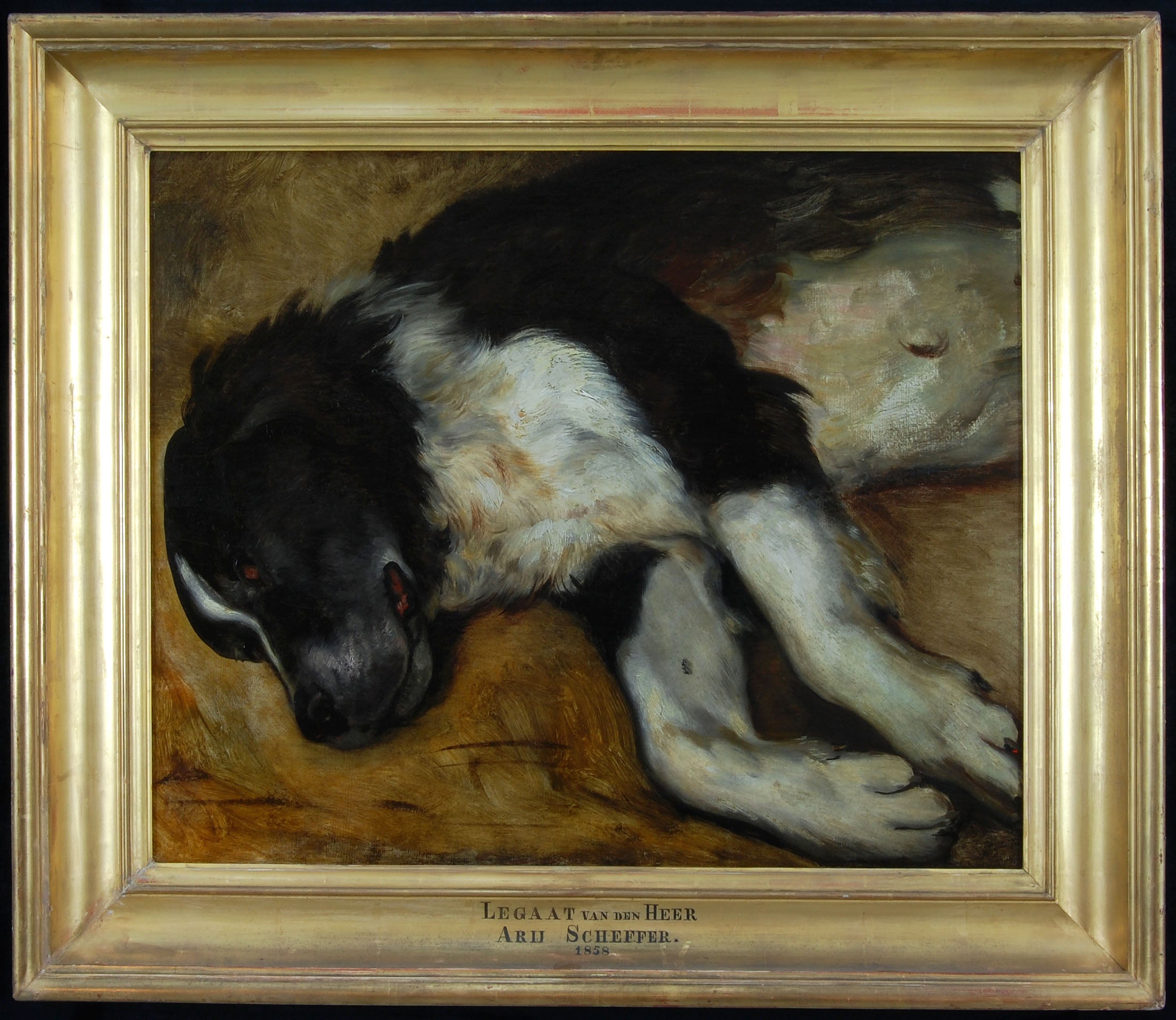 Turc, de hond van de kunstenaar, na zijn dood - Ary Scheffer image 1 reproduction d’œuvre d’art à l’huile