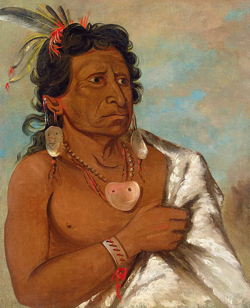 ウシーキッツ、羽根で戦う者、部族の長 - ジョージ・キャトリン

Source:
U'sh-ee-kitz, Celui qui se bat avec une plume, chef de la tribu - George Catlin