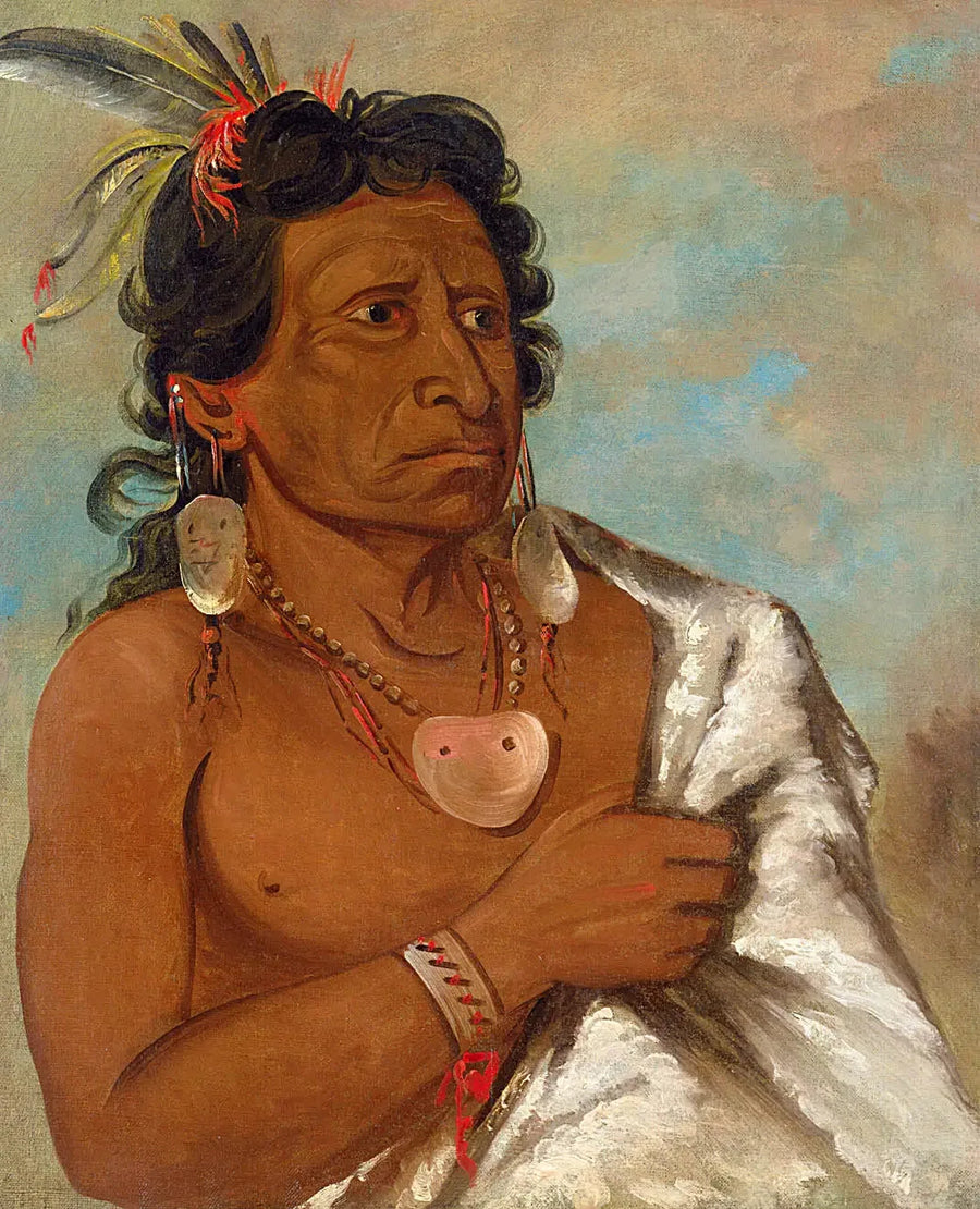 ウシーキッツ、羽根で戦う者、部族の長 - ジョージ・キャトリン

Source:
U'sh-ee-kitz, Celui qui se bat avec une plume, chef de la tribu - George Catlin