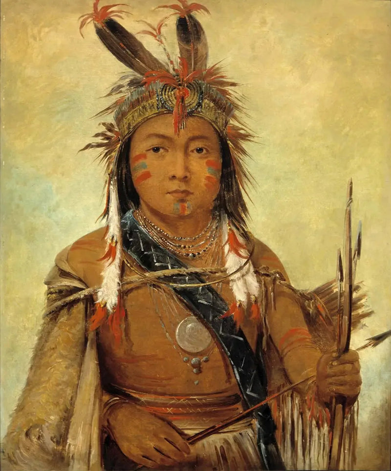 ウド・ジェイ・ジョック、ペリカン、少年 - ジョージ・キャトリン

Source:
Ud-je-jock, Pélican, un garçon - George Catlin