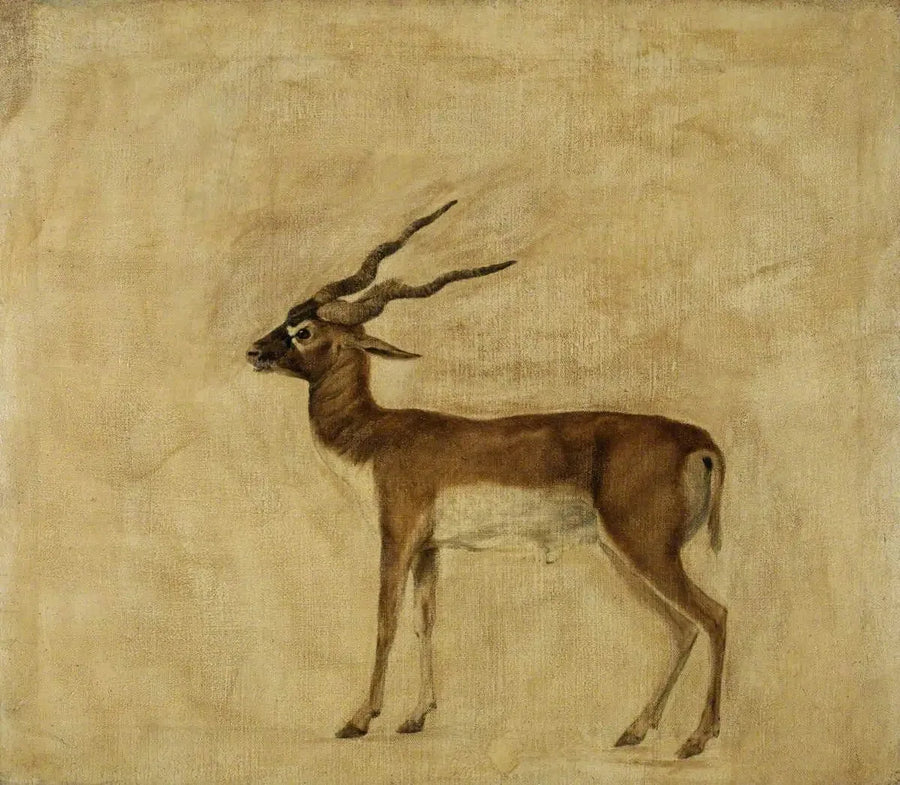 シカの角を持つアンテロープ - ジョージ・スタブズ

Source:
Un antilope cervicapre - George Stubbs